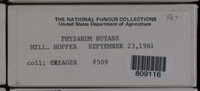 Image Associated With the Occurence